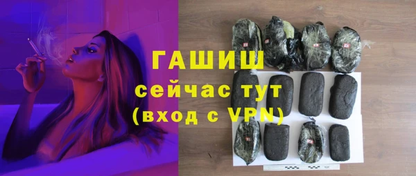 прущие грибы Пересвет