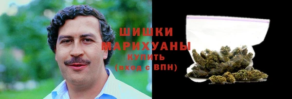 прущие грибы Пересвет