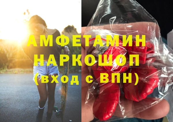прущие грибы Пересвет