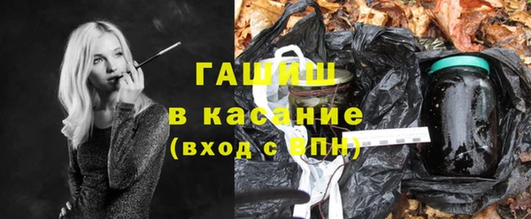 прущие грибы Пересвет