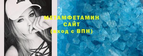прущие грибы Пересвет