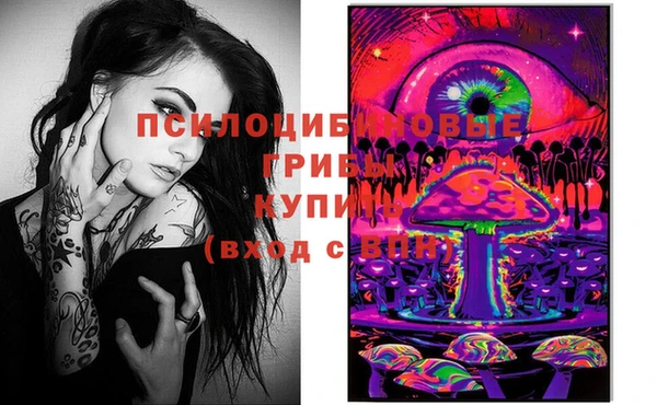 прущие грибы Пересвет
